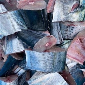 [동해상품] 급랭 토막 삼치 1kg / 생선 중 가장 머리가 좋아지는 생선 삼치! 왔습니다.