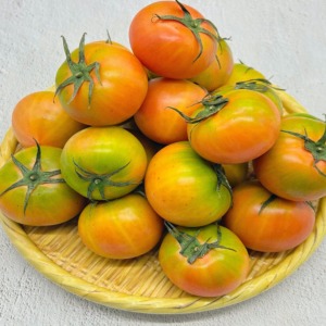 [단독상품] 대저 단짠토마토 로얄과 2.5kg / 단맛, 신맛, 짠맛을 모두 느낄 수 있는 프리미엄 대저 토마토.