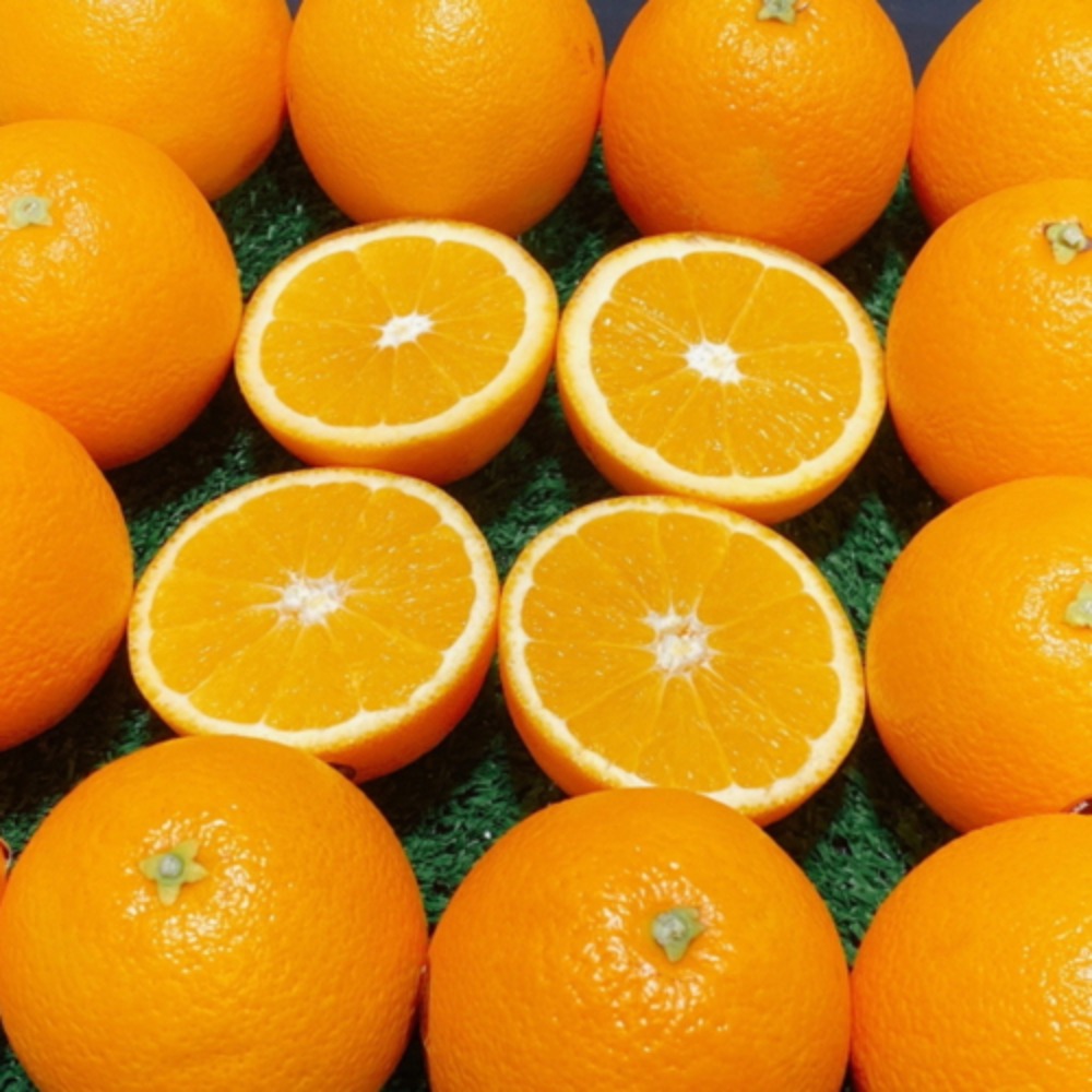 [당일생물][단독상품] 블랙라벨 오렌지 2kg / 믿고먹는 썬키스트 브랜드 오렌지 중에서 가장 당도 높은 블랙라벨!